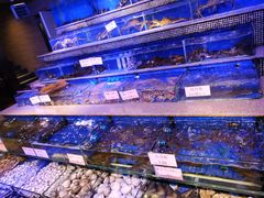 水产区-青蓬蒸汽海鲜·深圳老字号·团建聚会(壹方城店)