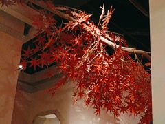 -蓉城老妈火锅(双林路店)
