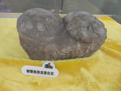 -诸城市恐龙博物馆