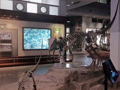 -自贡恐龙博物馆