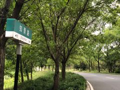-同里国家湿地公园
