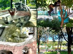 -水上乐园·欢乐世界