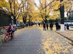 -四川大学华西口腔医院(华西院区)