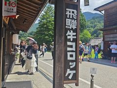 -白川乡与五箇山的合掌构造村落