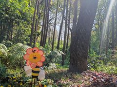 -上海共青森林公园