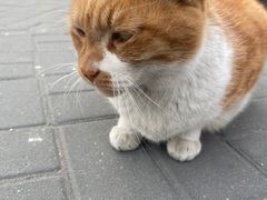 -红渡小香·牛肉麻辣香锅(车站南路店)