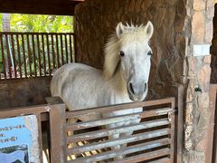-珠海海泉湾神秘岛亲子乐园