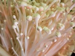 -陈阿婆重庆绿色鱼火锅