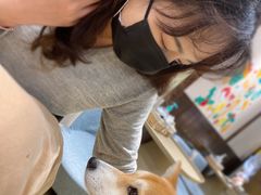 -逗柴咖啡屋·狗咖猫咖宠物桌游
