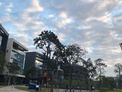 -前海深港基金小镇