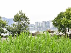 -美兰湖景区