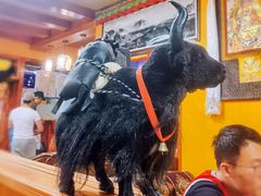 -如意林卡藏餐吧(大昭寺店)