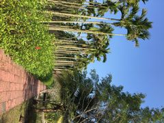 -红色娘子军纪念园