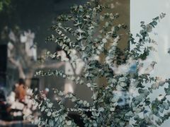 景观位-麻雀咖啡SPARROW COFFEE(十全街店)