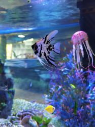 -酷嗒动物文化乐园(cutezoo西溪乐天城店)