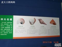 -上海海洋大学鱼文化博物馆(军工路校区)