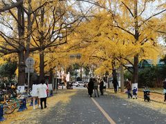 -四川大学(华西校区)
