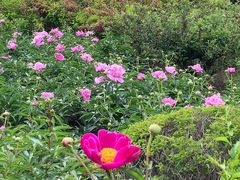 -黑龙江省森林植物园