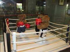 -济州岛泰迪熊博物馆