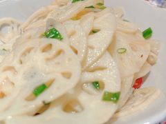 藕尖-壹盏灯(惠农店)