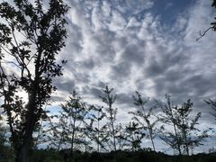 -仙海旅游度假区