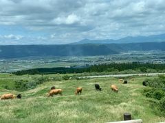 -阿苏山