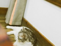 -山间农家