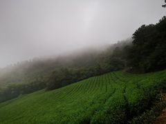 -敬亭山风景名胜区