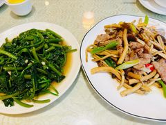 -圣厨牛腩(青春岛社区玉寿苑店)