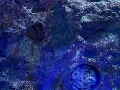 -大连圣亚海洋世界
