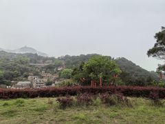 -花竹村