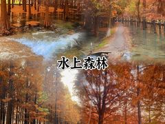 -红梅公园