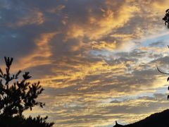 -姚家猪蹄坊(蓝田县店)