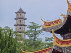 -江心屿景区