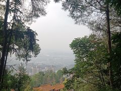 -铁山坪森林公园