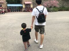 -木兰云雾山
