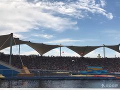 -秦皇岛乐岛海洋王国