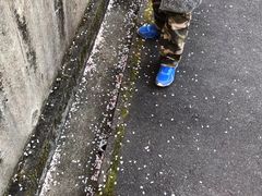 -醍醐寺