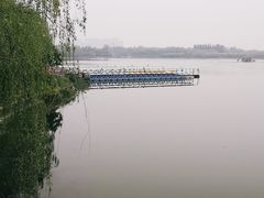 -大兴滨河森林公园