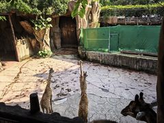 -长鹿旅游休博园