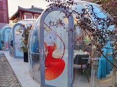 -唐猫庭院·千年陕菜(大唐不夜城店)