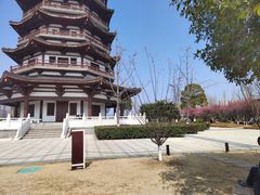 -洋湖国家湿地公园