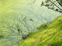 -瑶湖湿地自然保护区