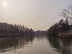 -苏州太湖国家湿地公园