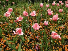 -中共上海市委党校 上海行政学院