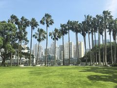 -江心屿景区