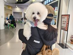 -心仪动物医院·牙专科·肿瘤·心脏科(西客站院)