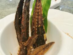 -欢乐海岸美食联盟