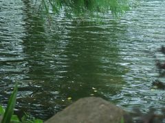 -燕晗山郊野公园