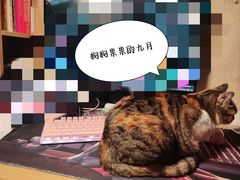 -乐琪宠物医院·犬猫专科·骨外科·急重症